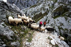 Lee más sobre el artículo Escapada aventura puente de mayo a Asturias