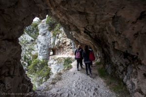Lee más sobre el artículo Que hacer este puente de mayo en Asturias