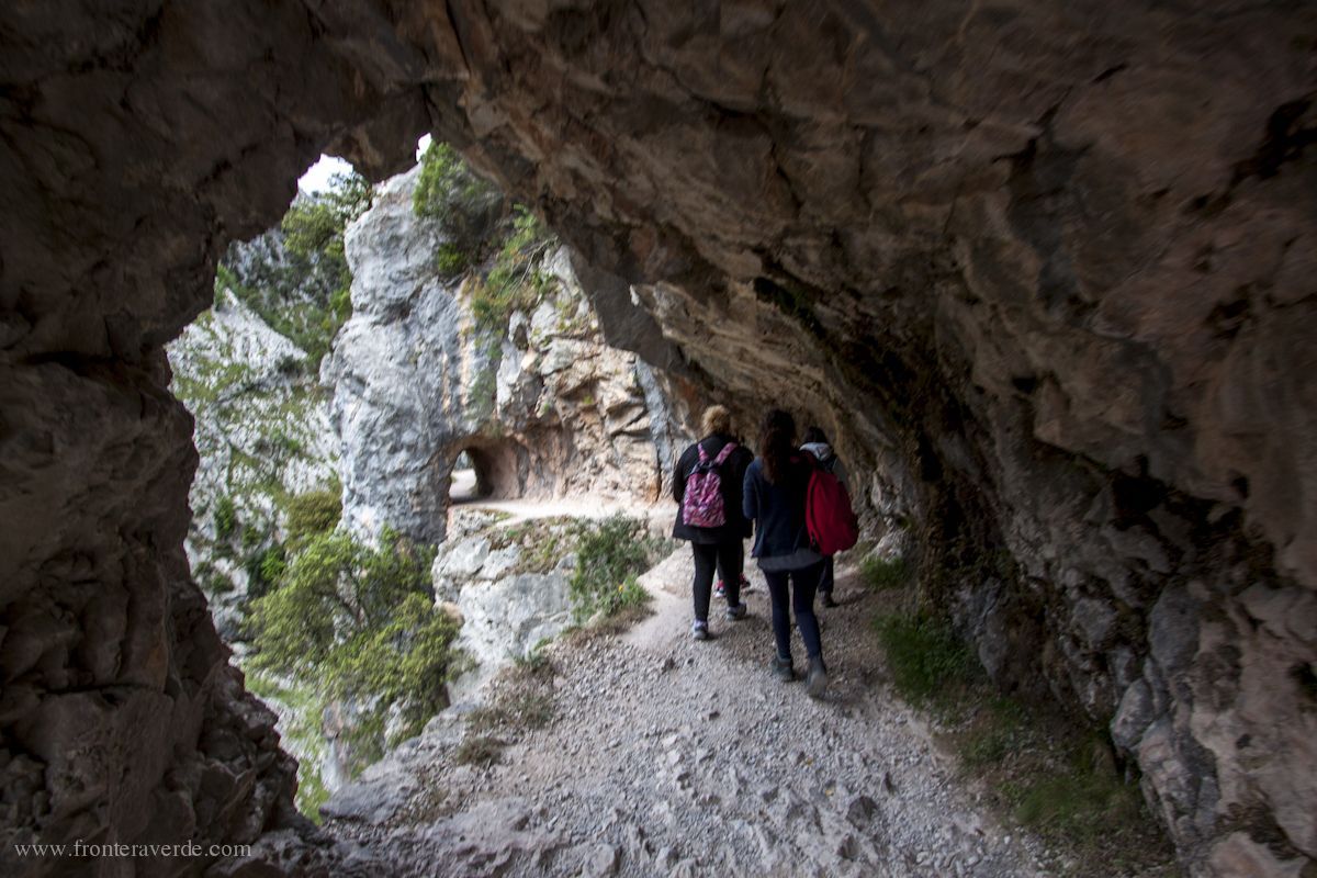 Lee más sobre el artículo Que hacer este puente de mayo en Asturias