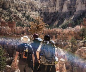 Lee más sobre el artículo Asturias como paraíso del senderismo