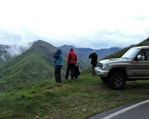 Lee más sobre el artículo Plan de acceso a los Lagos de Covadonga