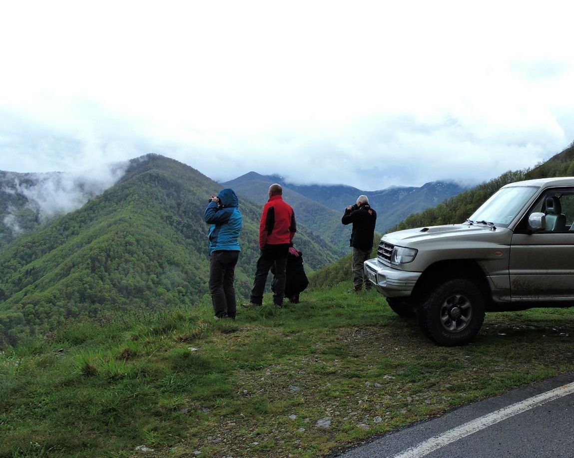 Lee más sobre el artículo Plan de acceso a los Lagos de Covadonga