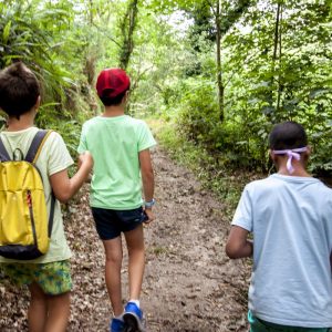 viajes de estudio picos de europa