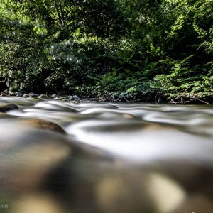 Escapada de pesca de salmón por los ríos de Asturias.