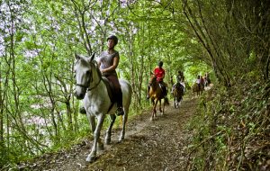 Turismo activo en Asturias: Rutas a caballo por Ribadesella
