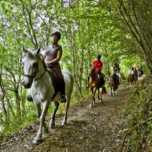 Turismo activo en Asturias: Rutas a caballo por Ribadesella